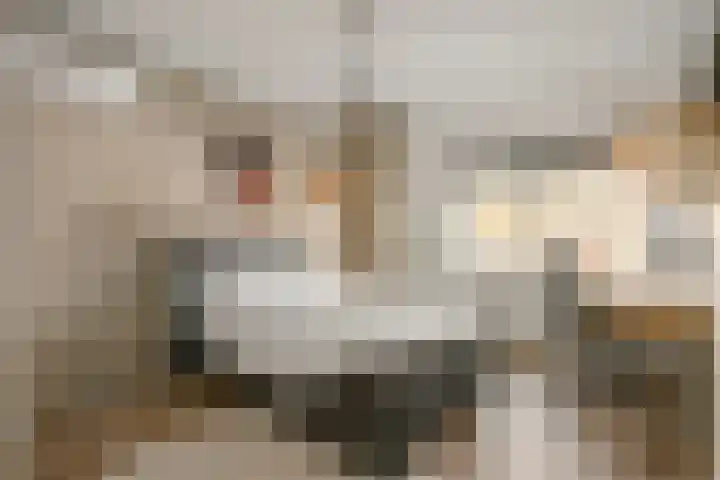 Brugakker 3608 Zeist thumbnail 20