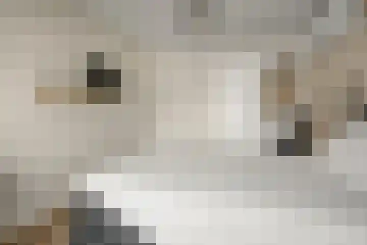 Brugakker 3608 Zeist thumbnail 21