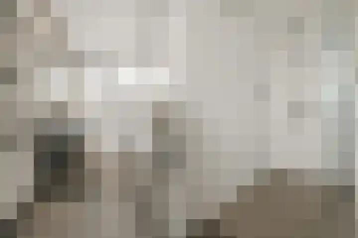 Brugakker 3608 Zeist thumbnail 22