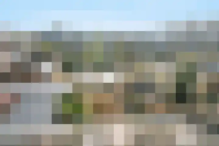 Brugakker 3608 Zeist thumbnail 26