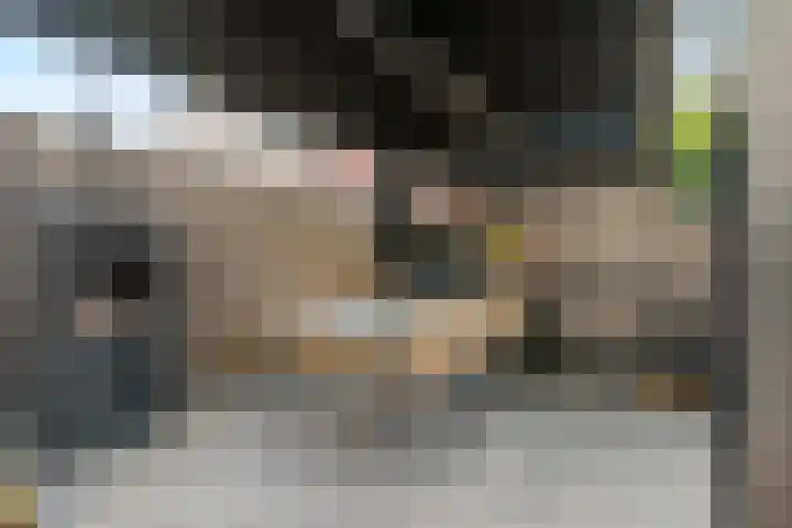 Brugakker 3608 Zeist thumbnail 27