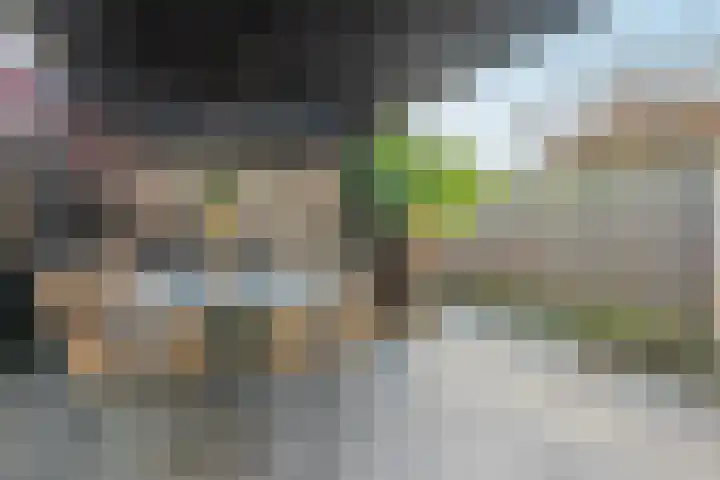 Brugakker 3608 Zeist thumbnail 29