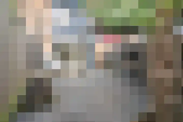 Brugakker 3608 Zeist thumbnail 30