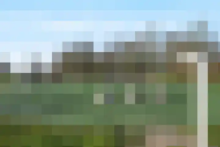 Brugakker 3608 Zeist thumbnail 32