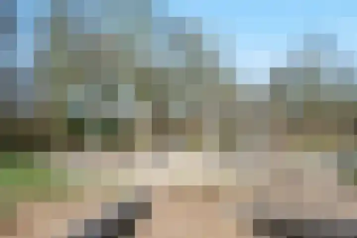 Brugakker 3608 Zeist thumbnail 33