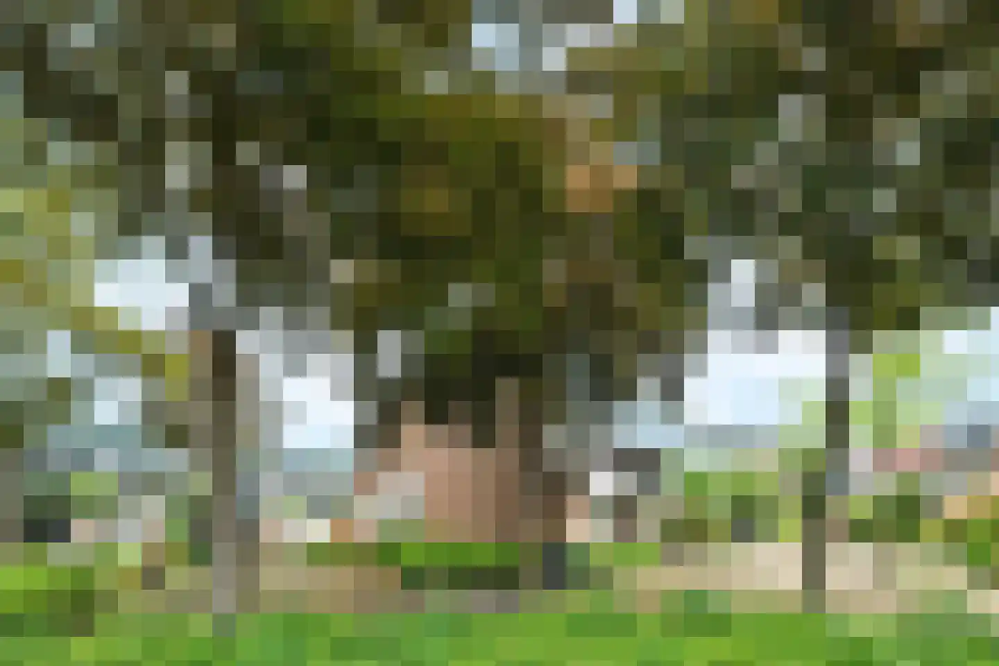 Brugakker 3623 Zeist thumbnail 24