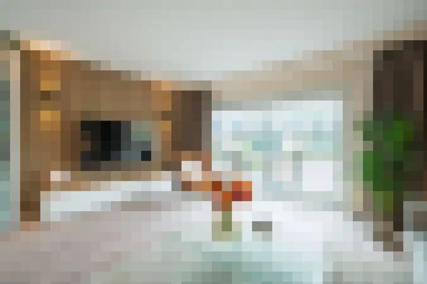Brugakker 3623 Zeist thumbnail 4