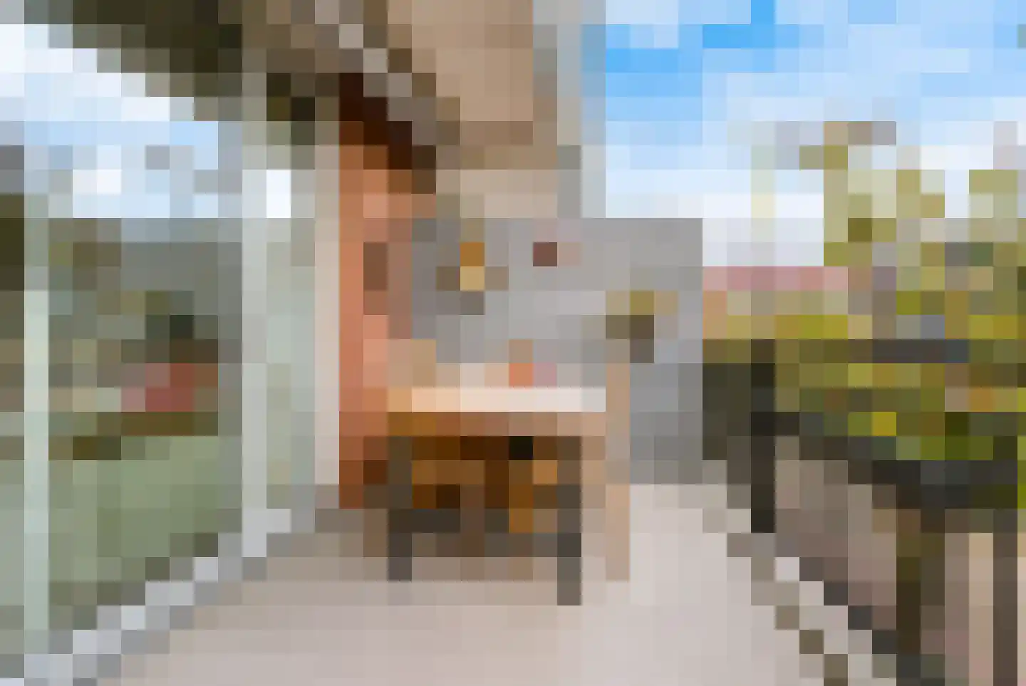 Brugakker 3625 Zeist thumbnail 47