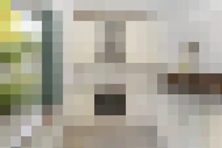 Brugakker 3642 Zeist thumbnail 11