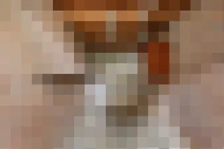 Brugakker 3642 Zeist thumbnail 21