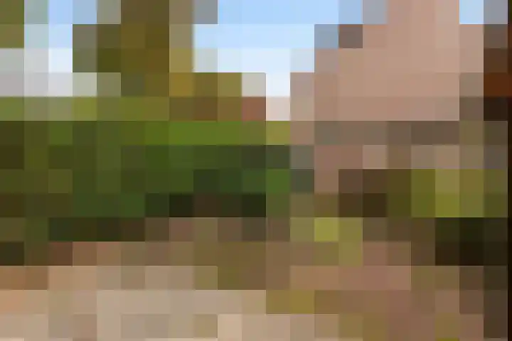 Brugakker 3642 Zeist thumbnail 23