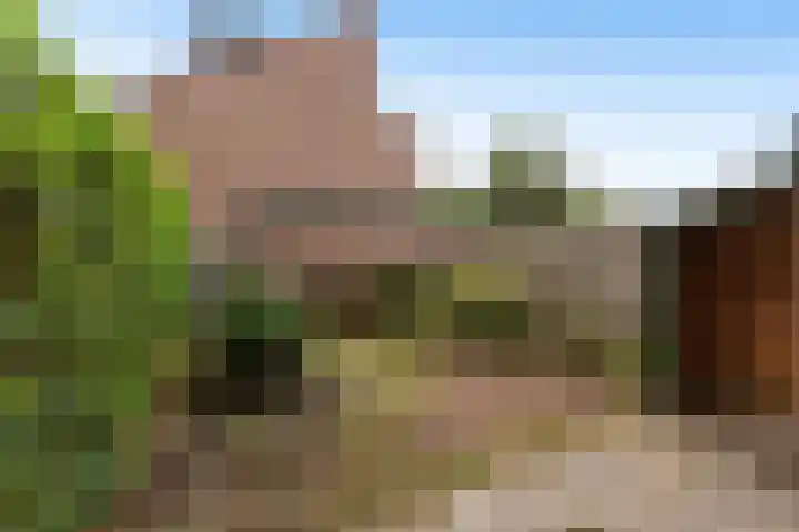 Brugakker 3642 Zeist thumbnail 24
