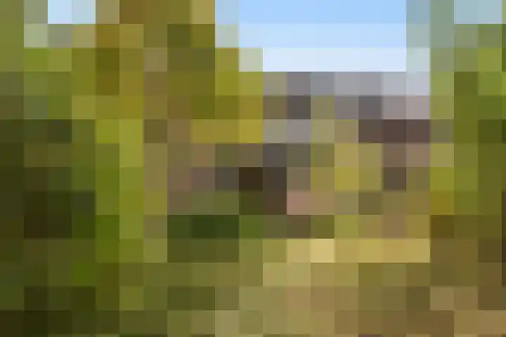 Brugakker 3642 Zeist thumbnail 26