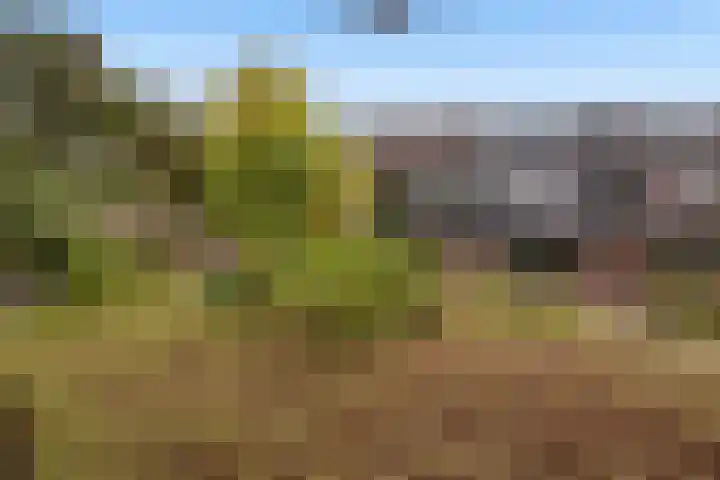 Brugakker 3642 Zeist thumbnail 27