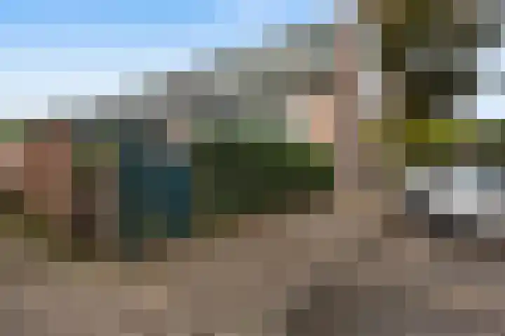 Brugakker 3642 Zeist thumbnail 28