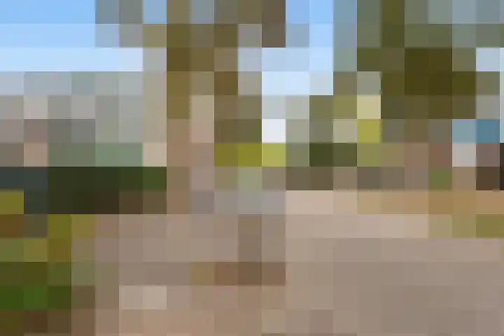 Brugakker 3642 Zeist thumbnail 4