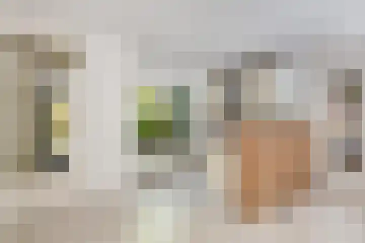 Brugakker 3642 Zeist thumbnail 8