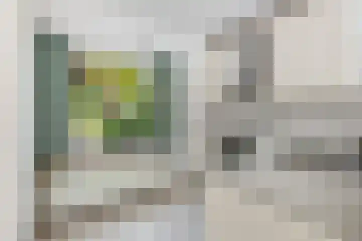 Brugakker 3642 Zeist thumbnail 9