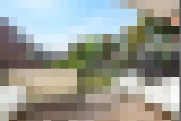 Brugakker 3655 Zeist thumbnail 15
