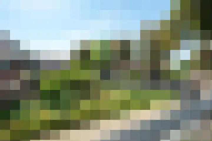 Brugakker 3655 Zeist thumbnail 16