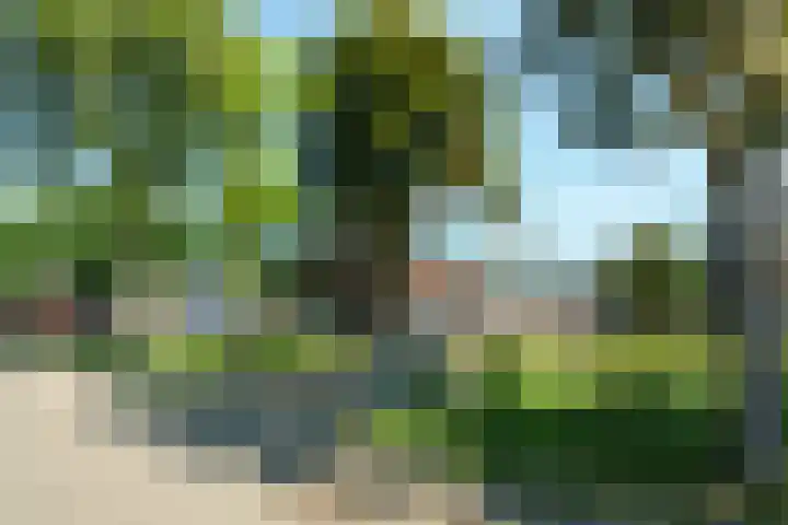 Brugakker 3655 Zeist thumbnail 30