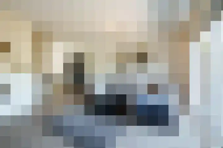 Brugakker 3655 Zeist thumbnail 4