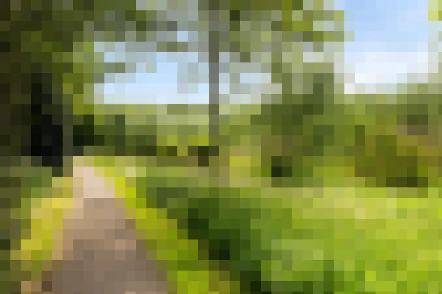 Brugakker 5610 Zeist thumbnail 38