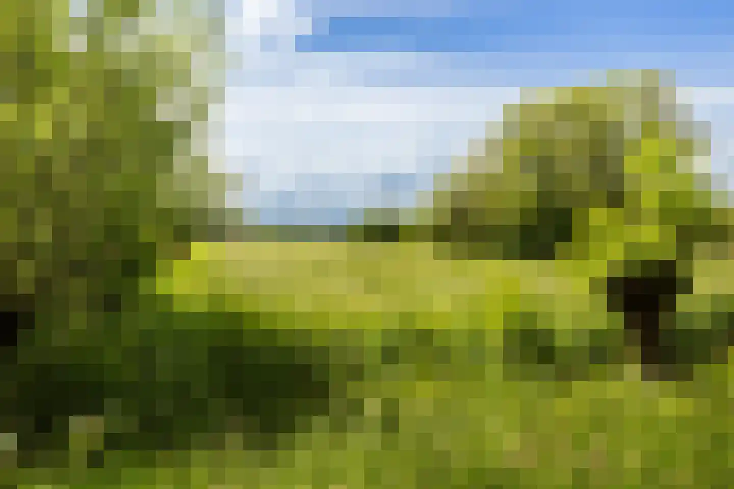 Brugakker 5610 Zeist thumbnail 39