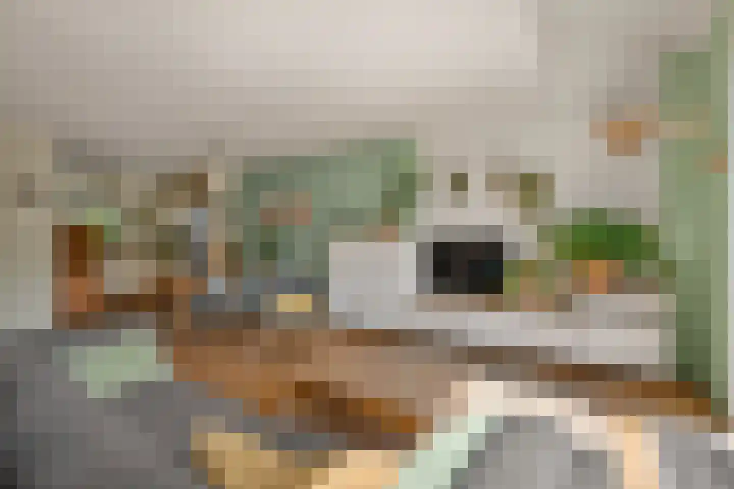 Brugakker 5655 Zeist thumbnail 10