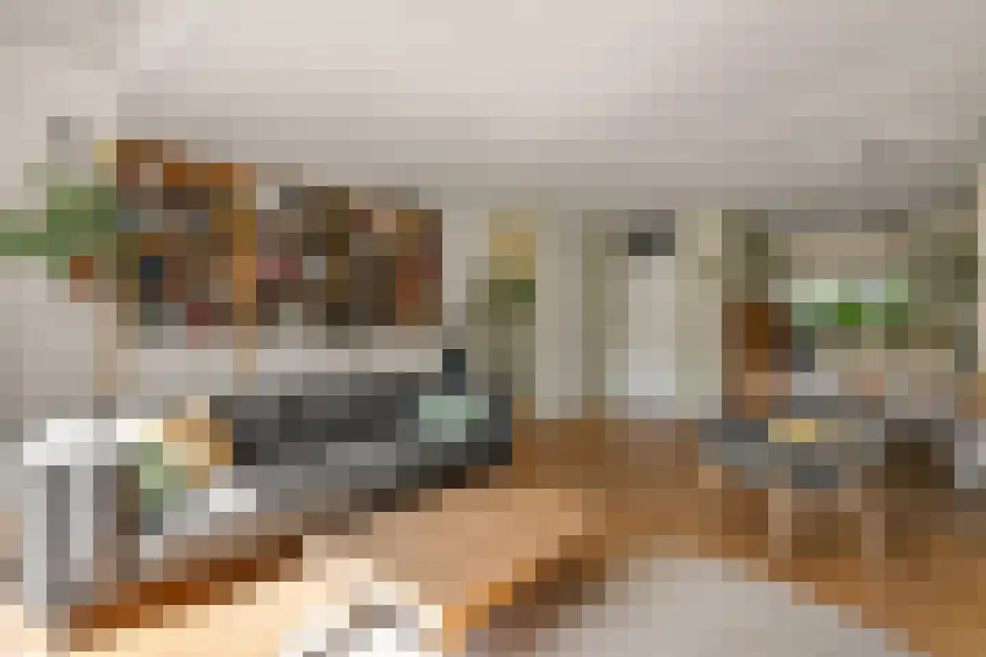Brugakker 5655 Zeist thumbnail 11
