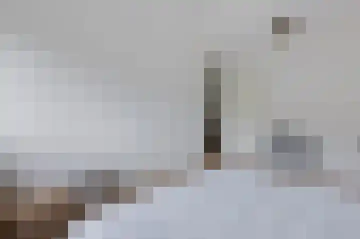 Brugakker 5701 Zeist thumbnail 17