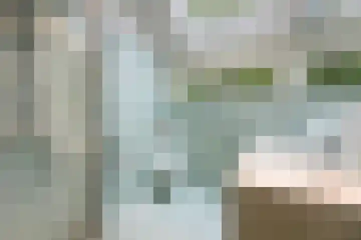 Brugakker 5701 Zeist thumbnail 18