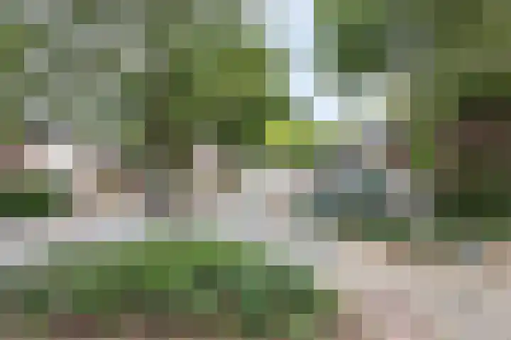 Brugakker 5701 Zeist thumbnail 28
