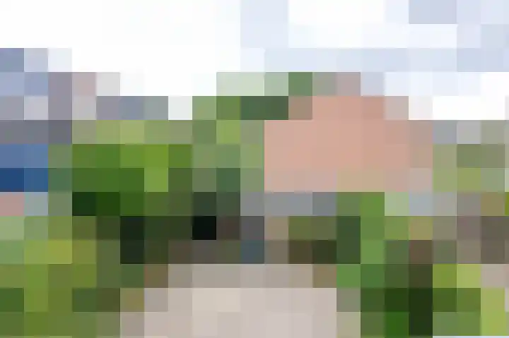 Brugakker 5701 Zeist thumbnail 29