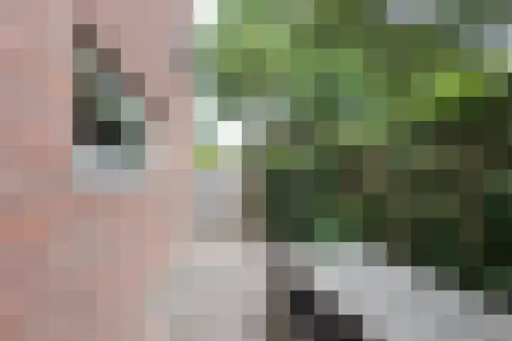 Brugakker 5701 Zeist thumbnail 34