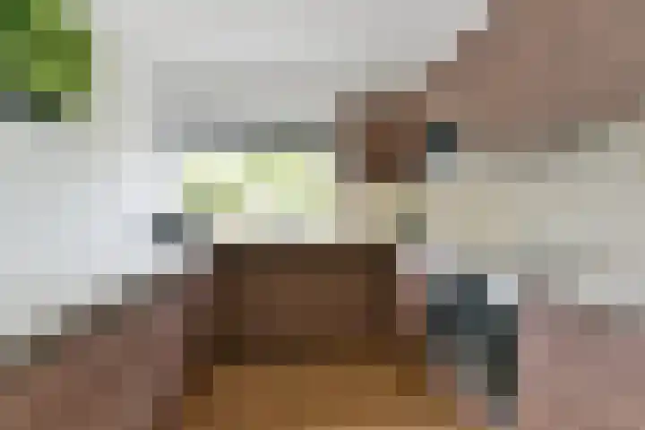 Brugakker 5729 Zeist thumbnail 10