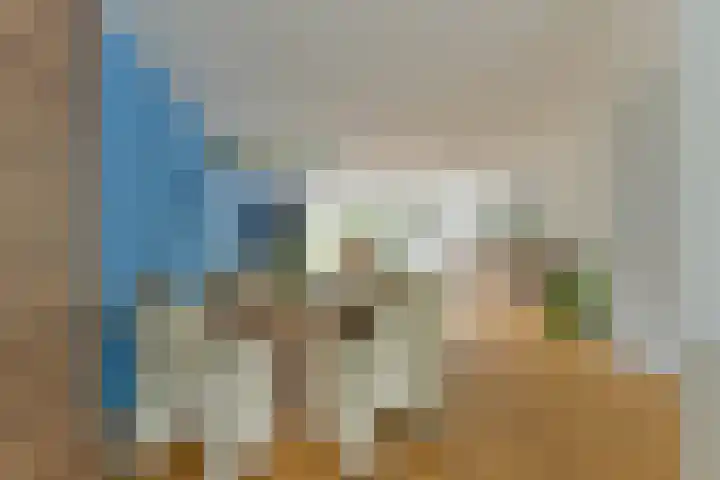 Brugakker 5729 Zeist thumbnail 12