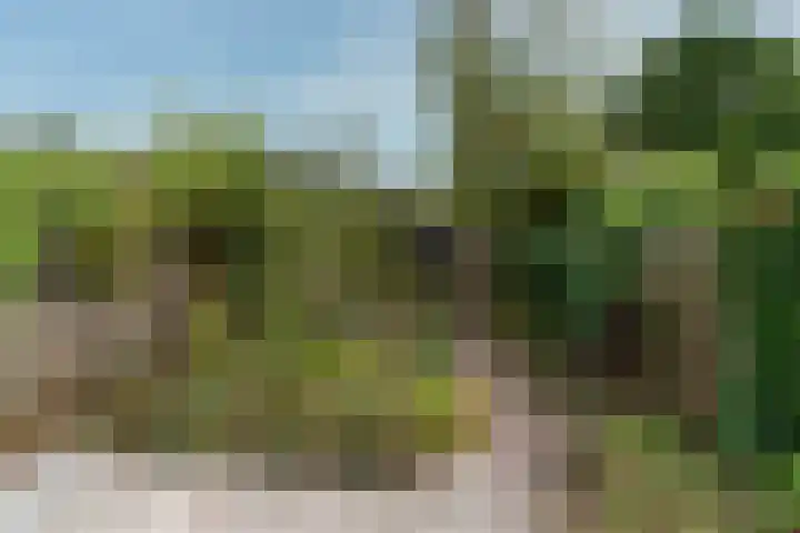 Brugakker 5729 Zeist thumbnail 15