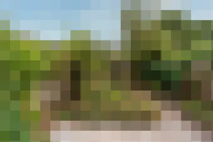 Brugakker 5729 Zeist thumbnail 16