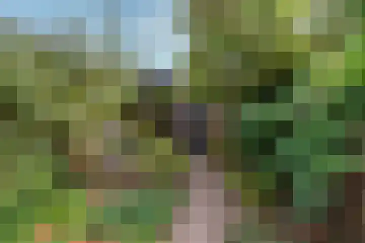 Brugakker 5729 Zeist thumbnail 17