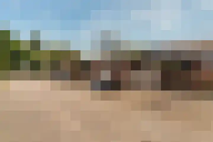 Brugakker 5729 Zeist thumbnail 19