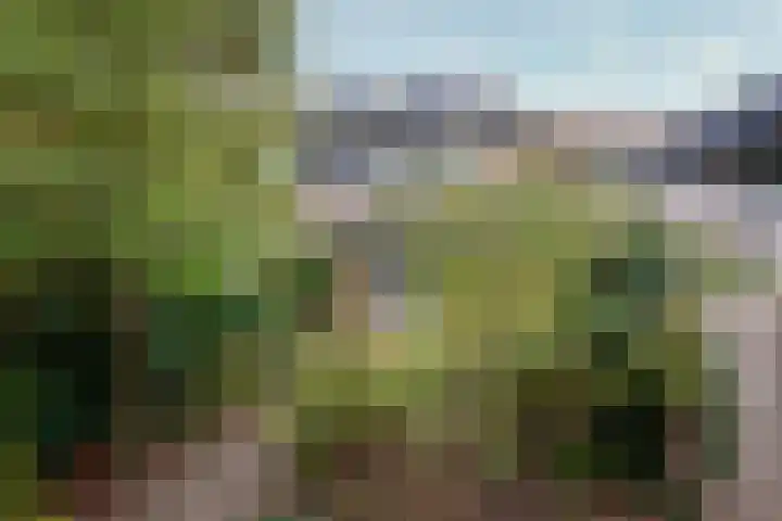 Brugakker 5729 Zeist thumbnail 20