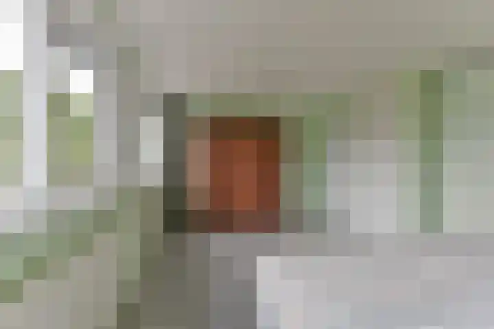 Brugakker 5729 Zeist thumbnail 27