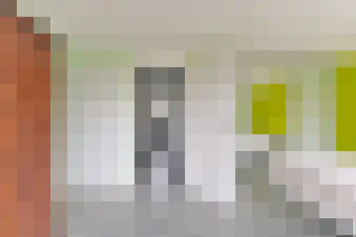 Brugakker 5729 Zeist thumbnail 28