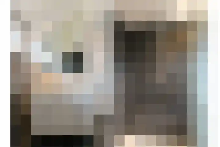 Brugakker 5729 Zeist thumbnail 33