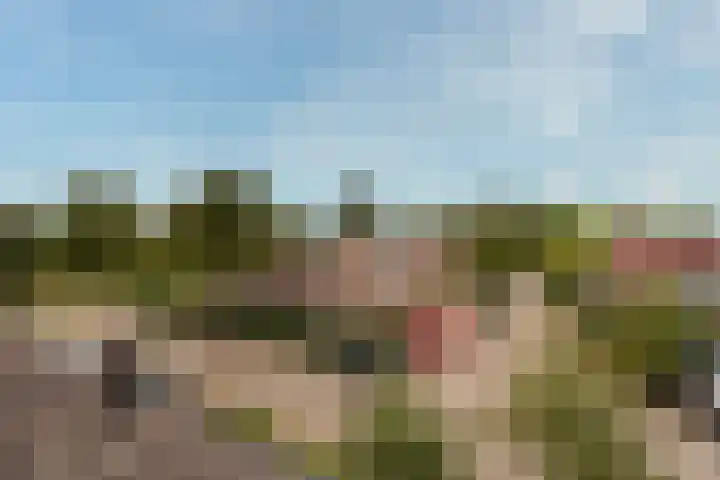Brugakker 5729 Zeist thumbnail 39