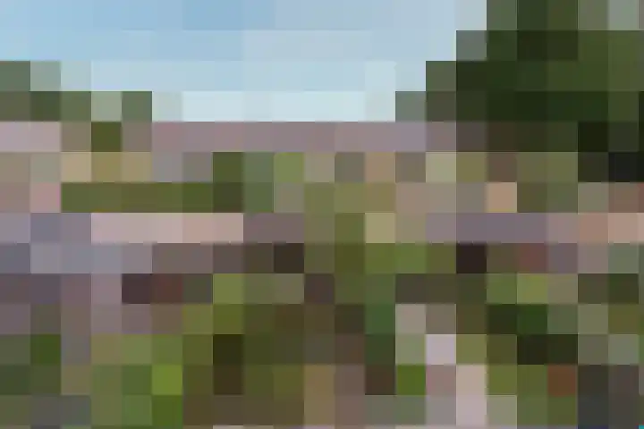 Brugakker 5729 Zeist thumbnail 40