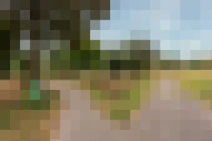 Brugakker 5729 Zeist thumbnail 41