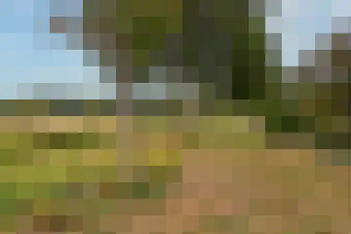Brugakker 5729 Zeist thumbnail 42