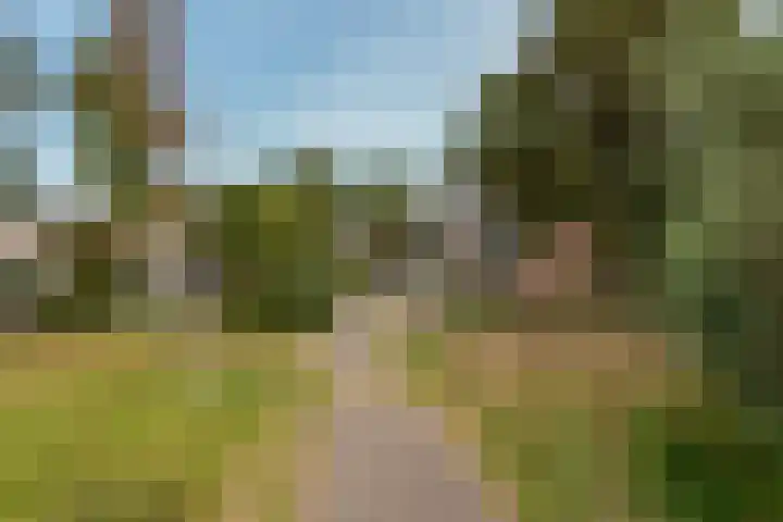Brugakker 5729 Zeist thumbnail 43